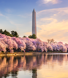 WashingtonDC-Location