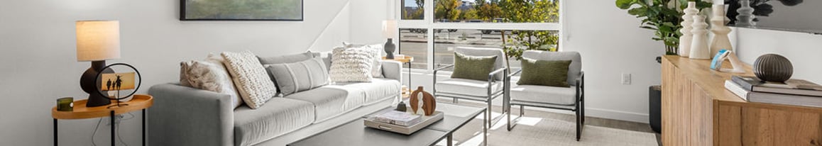 Reno-Banner-1